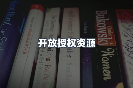 PDF电子书下载